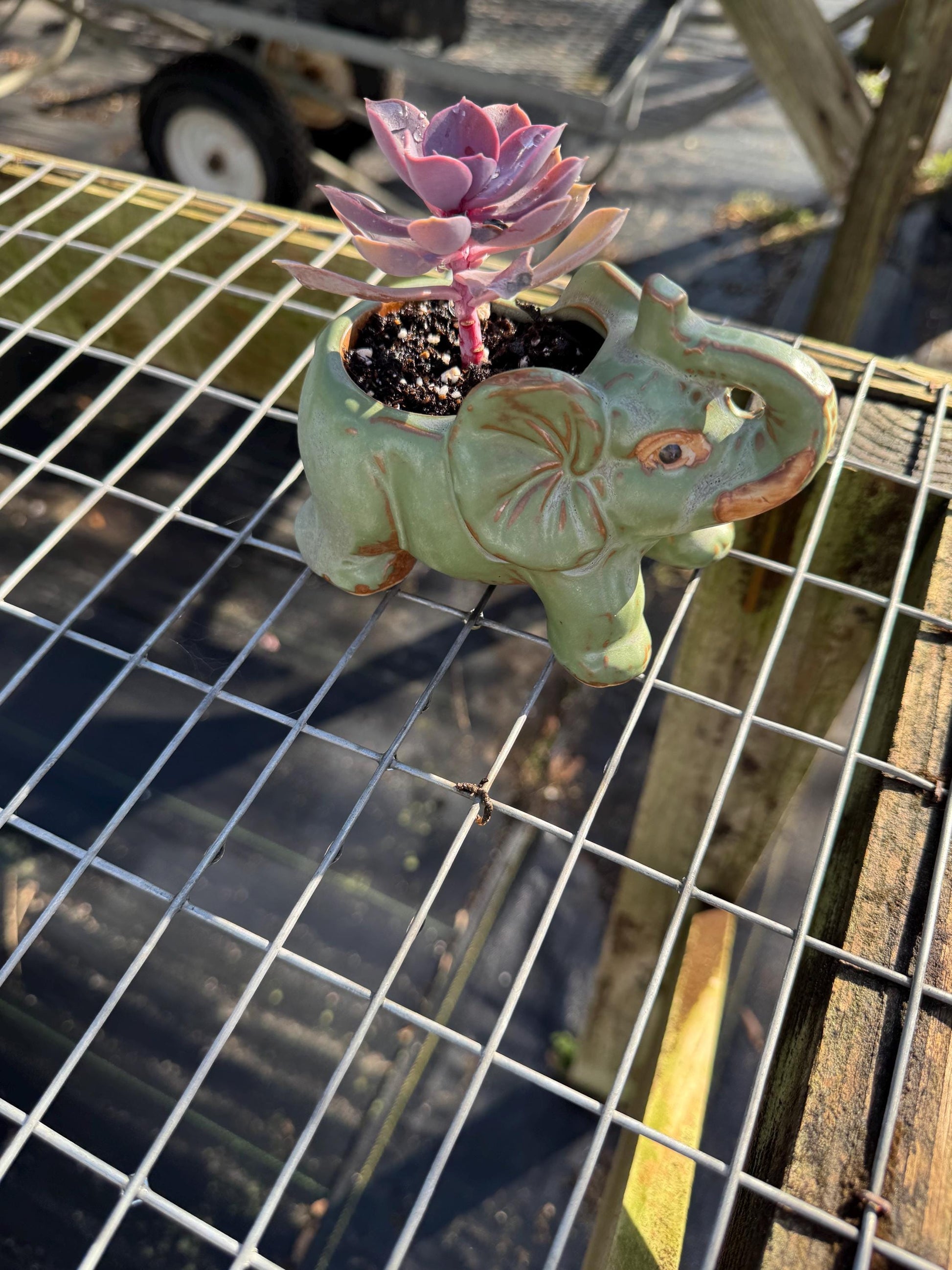 Small Animal Planter 2 pack