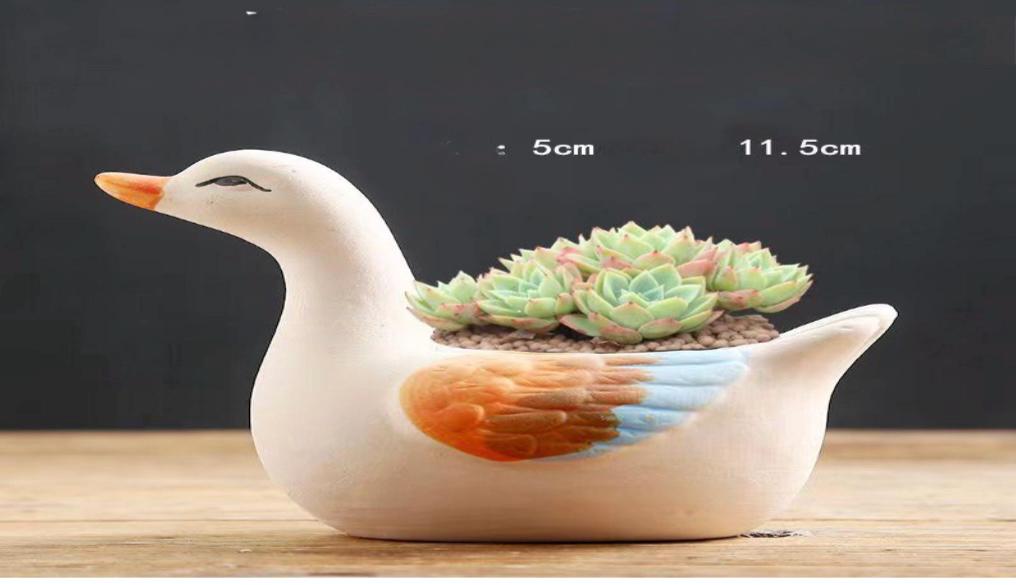 cute animal succulent planters Cute Animal shape planters 4 pack – Wicatet Farms