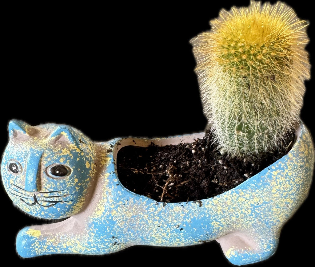 Animal Shape Plantars