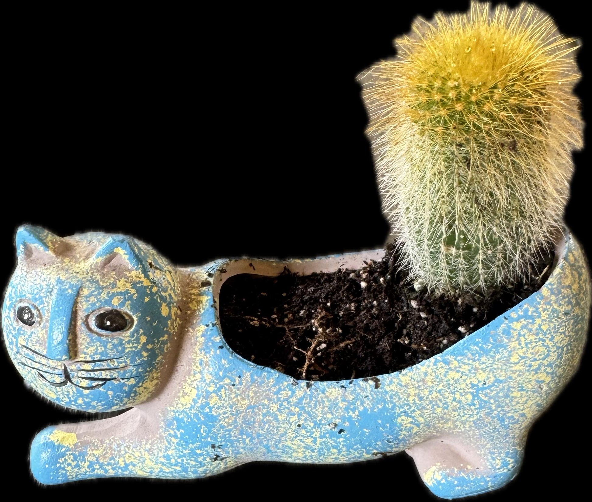 Animal Shape Plantars