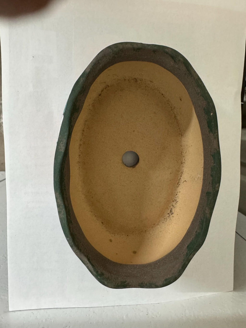 Small plantar varieties for small decorative plants