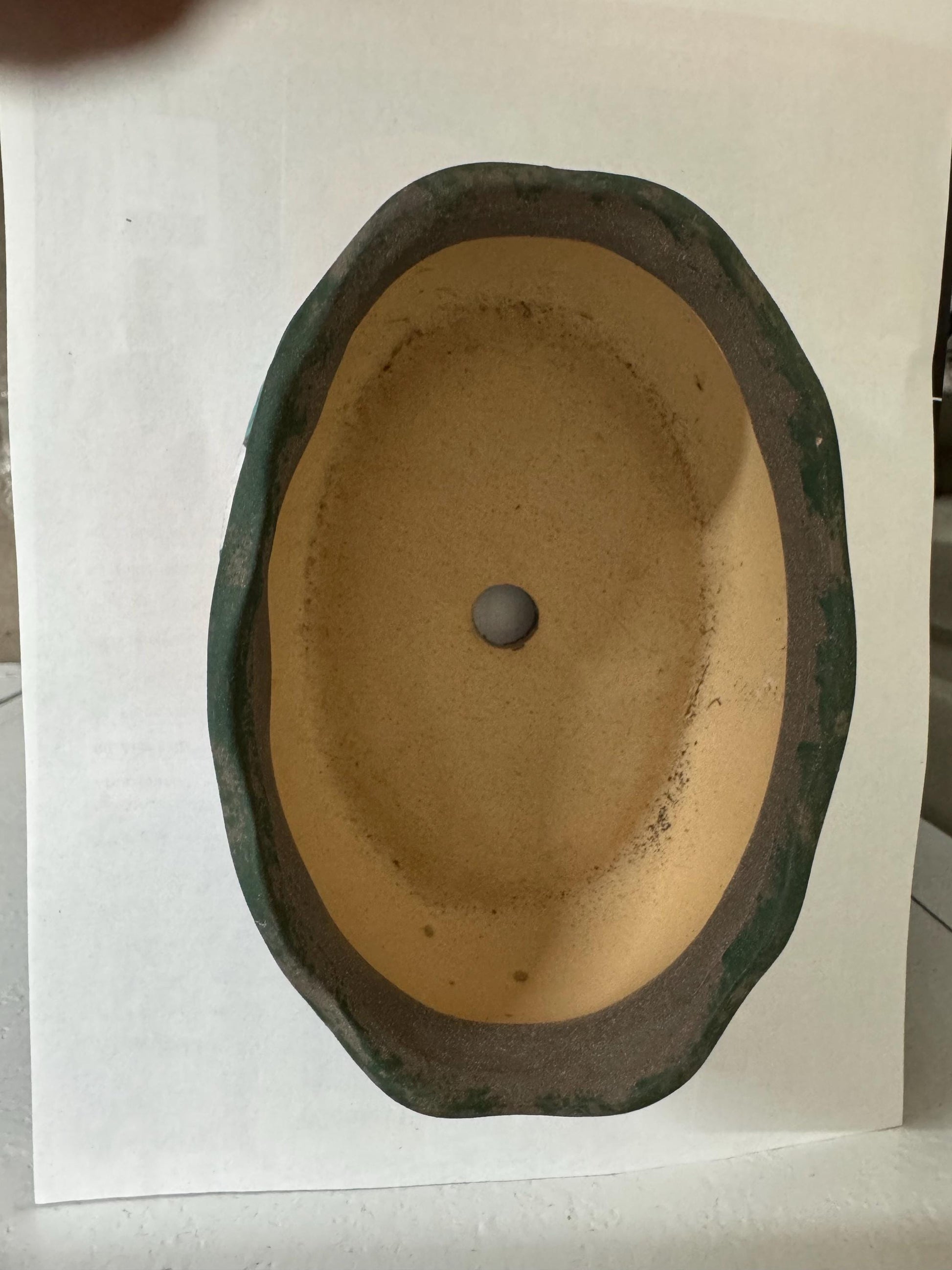 Small plantar varieties for small decorative plants