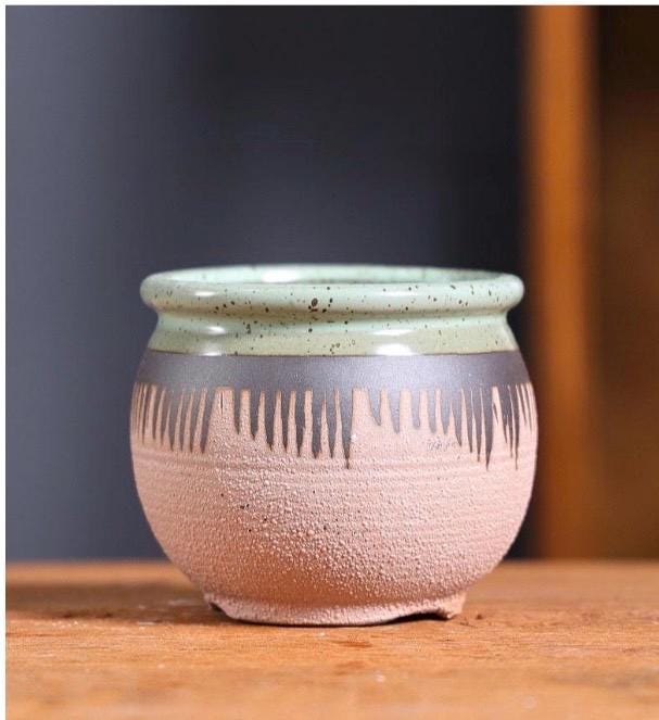 Small planter varieties for small decorative plants