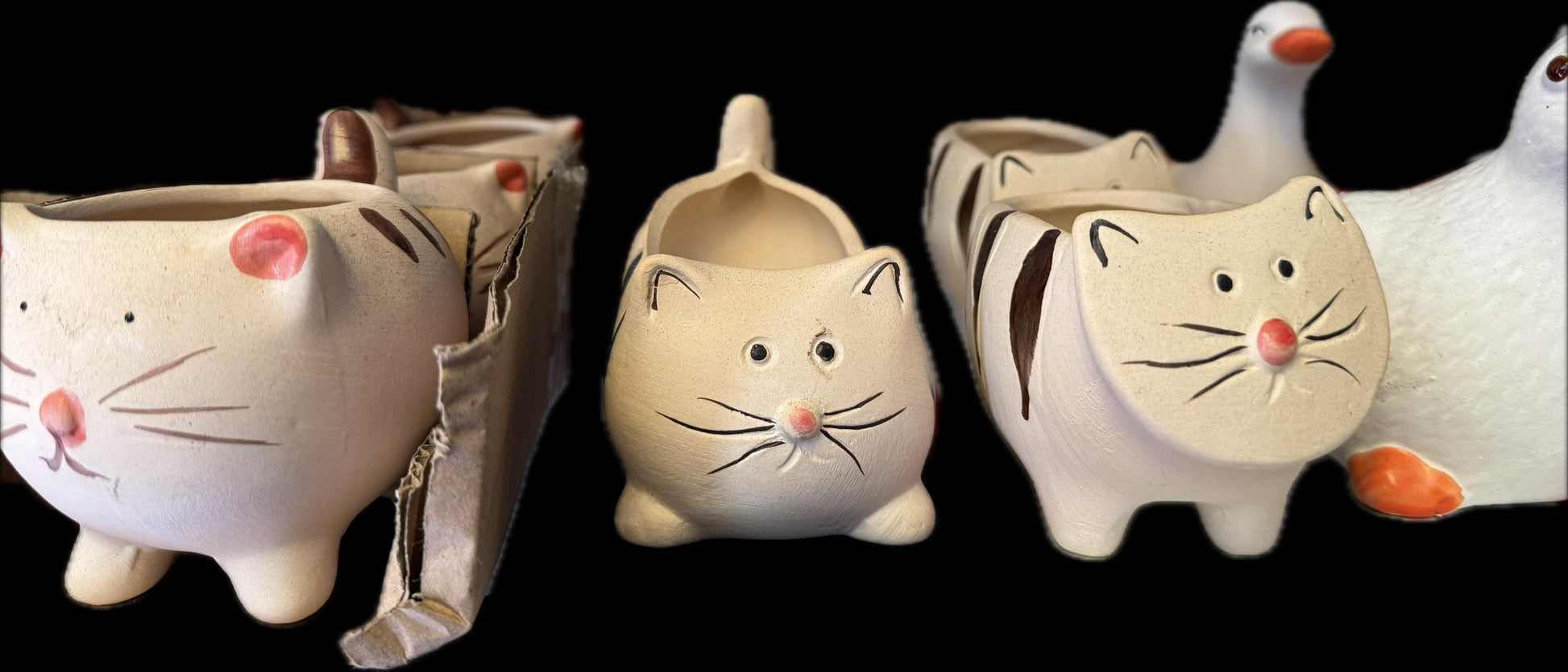 Animal Shape Plantars