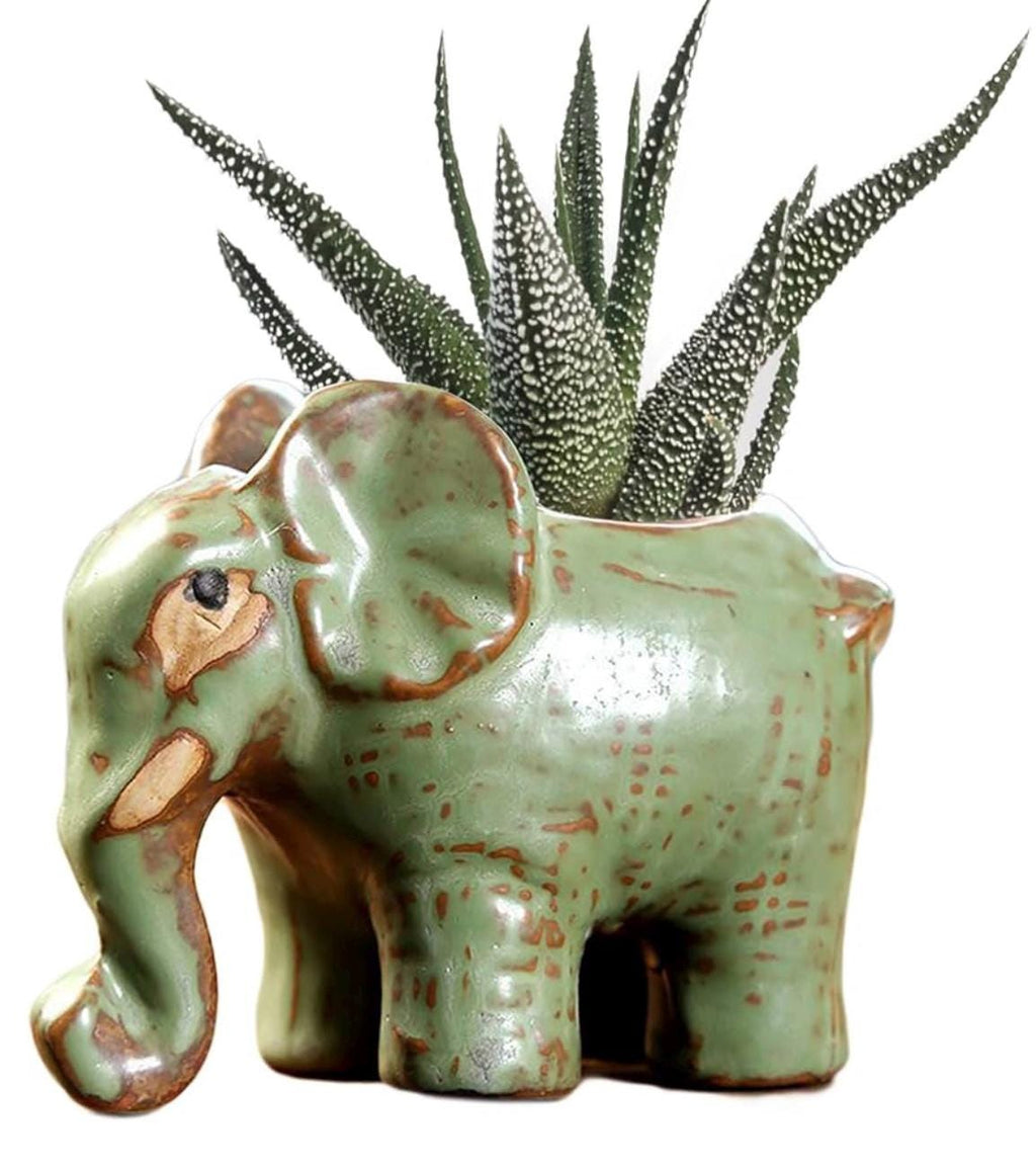 Small Animal Planter any one you can choose