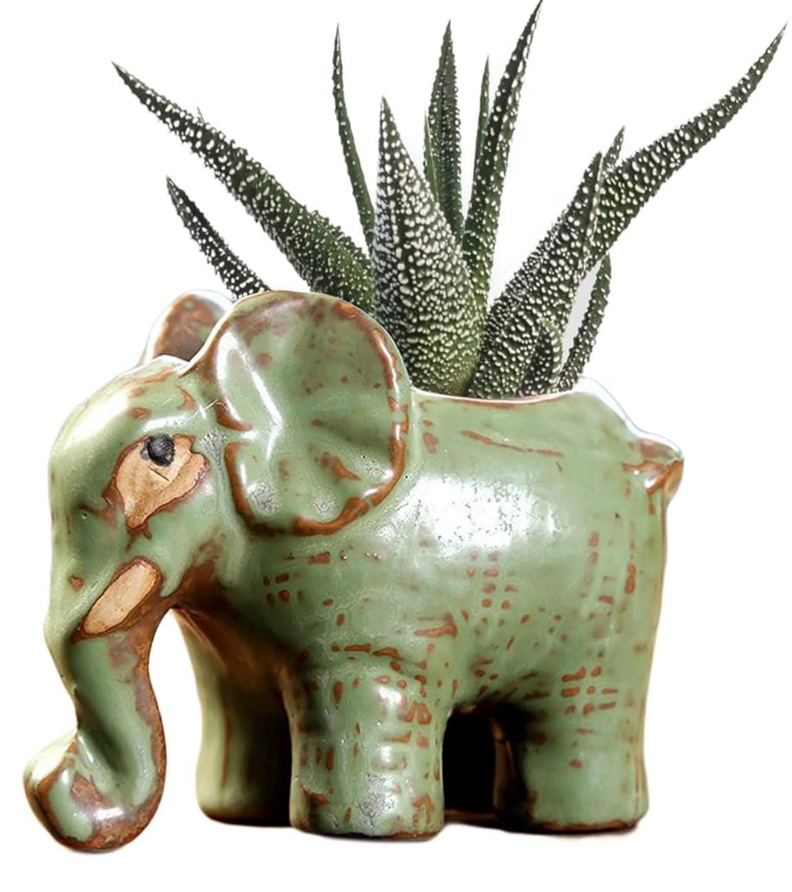 Small Animal Planter any one you can choose