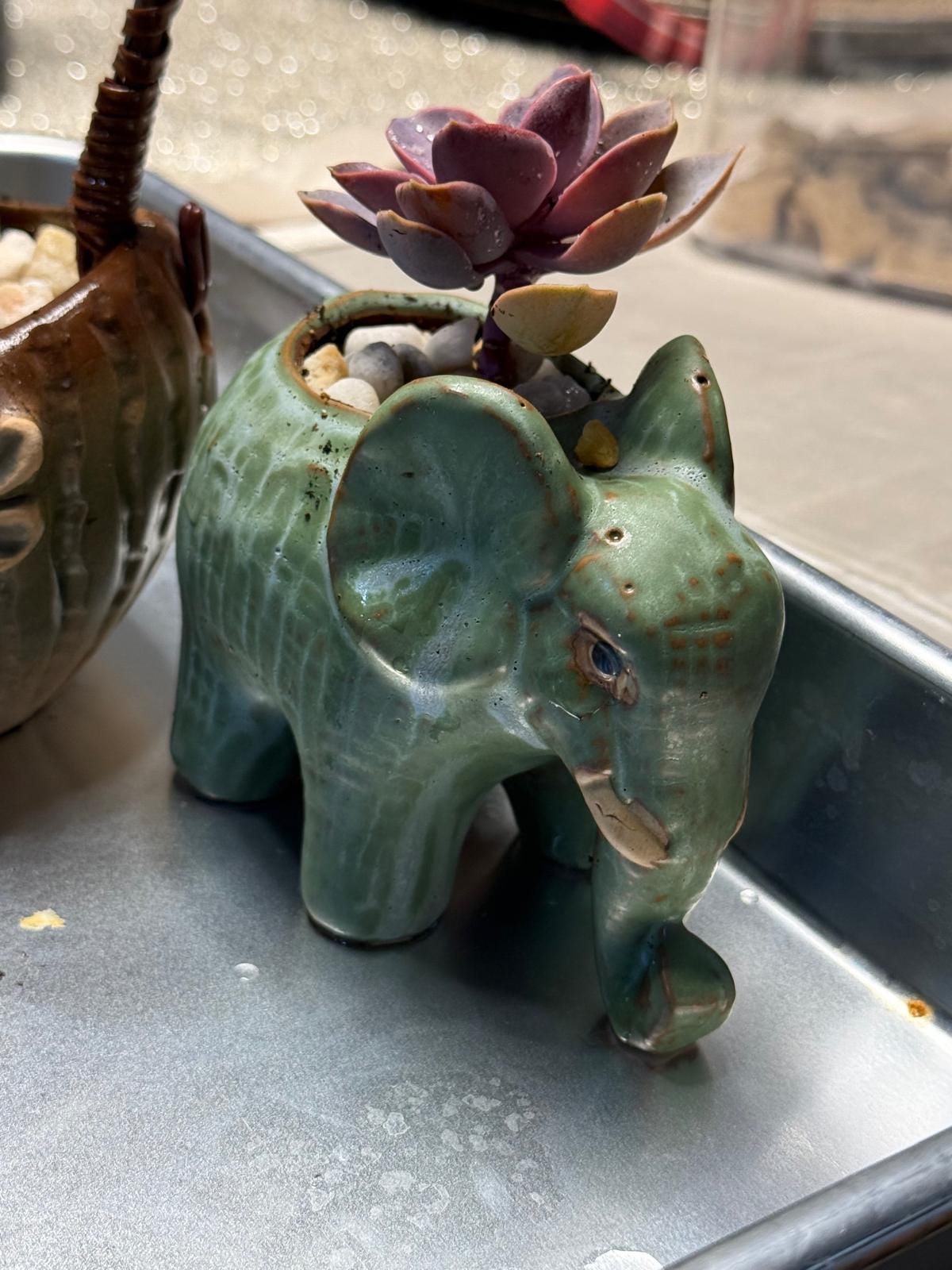 Small Animal Planter 2 pack