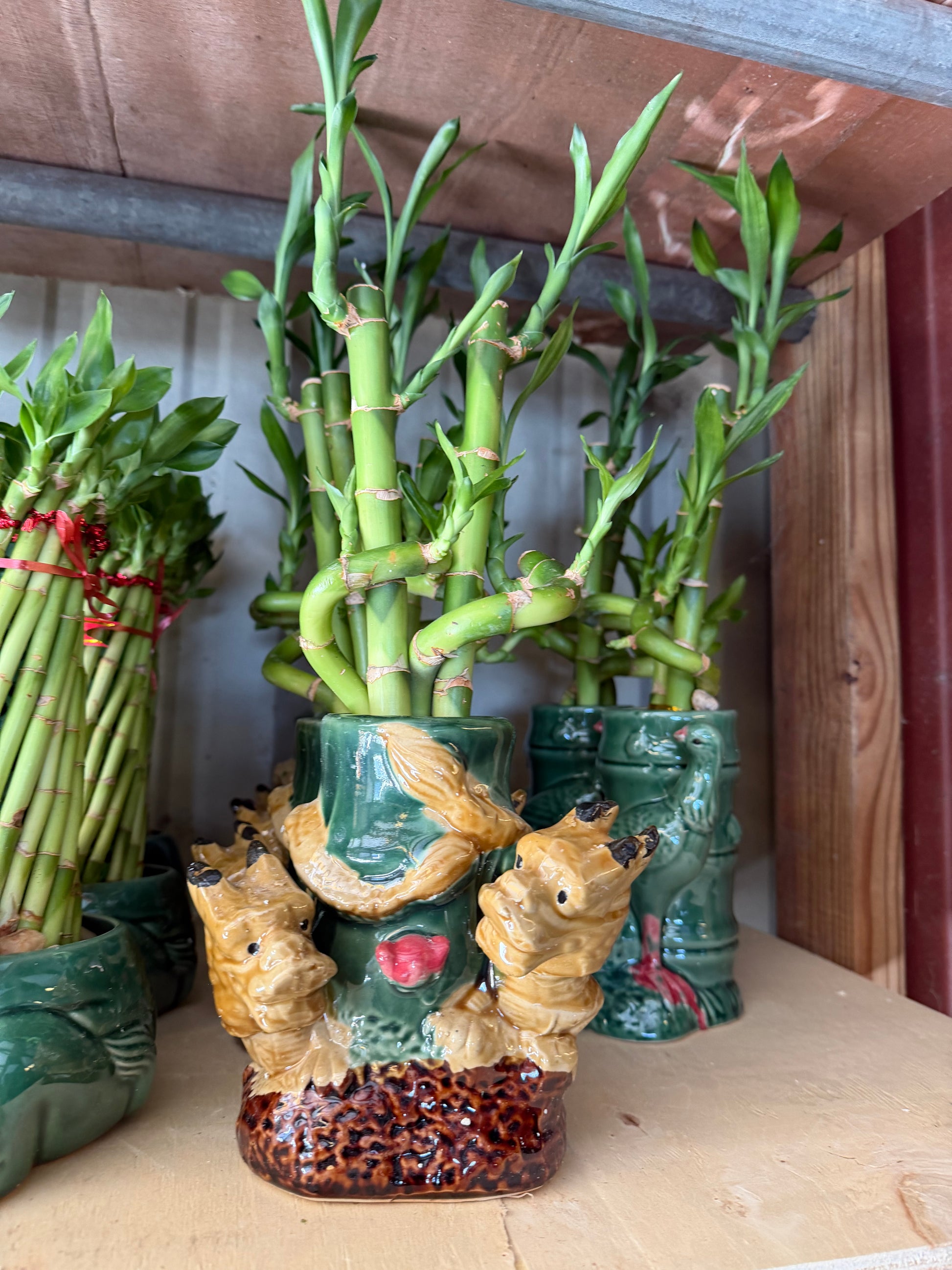 Elephant Bamboo planters