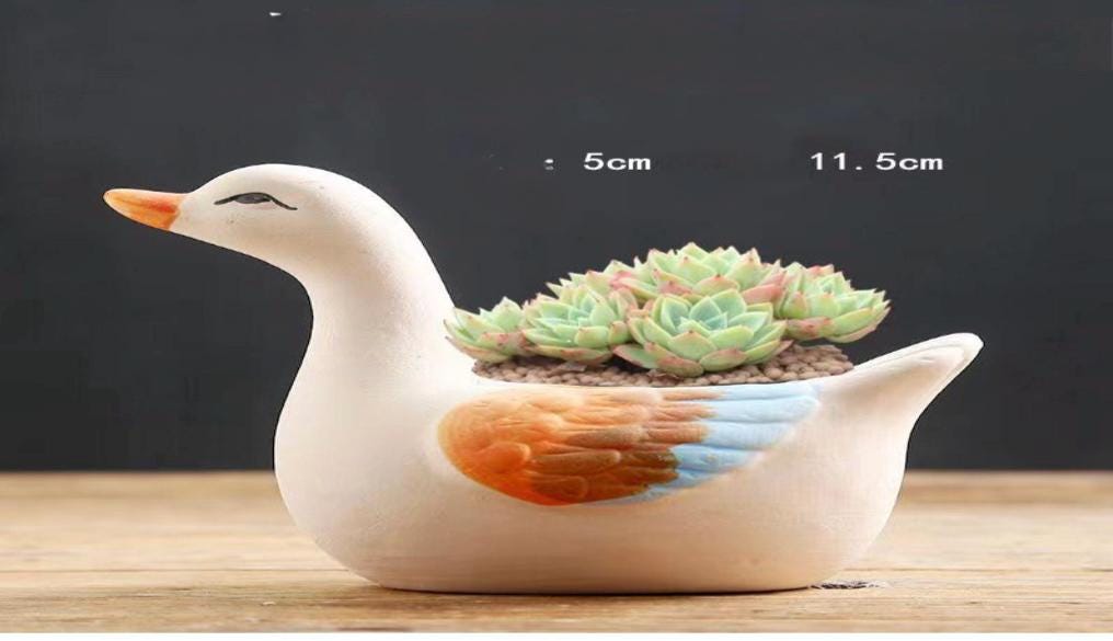 Animal shape planters