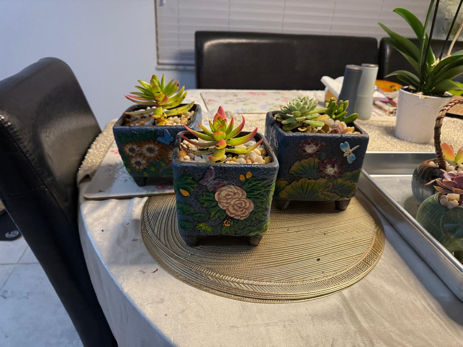 Ceramic Planters 3pack