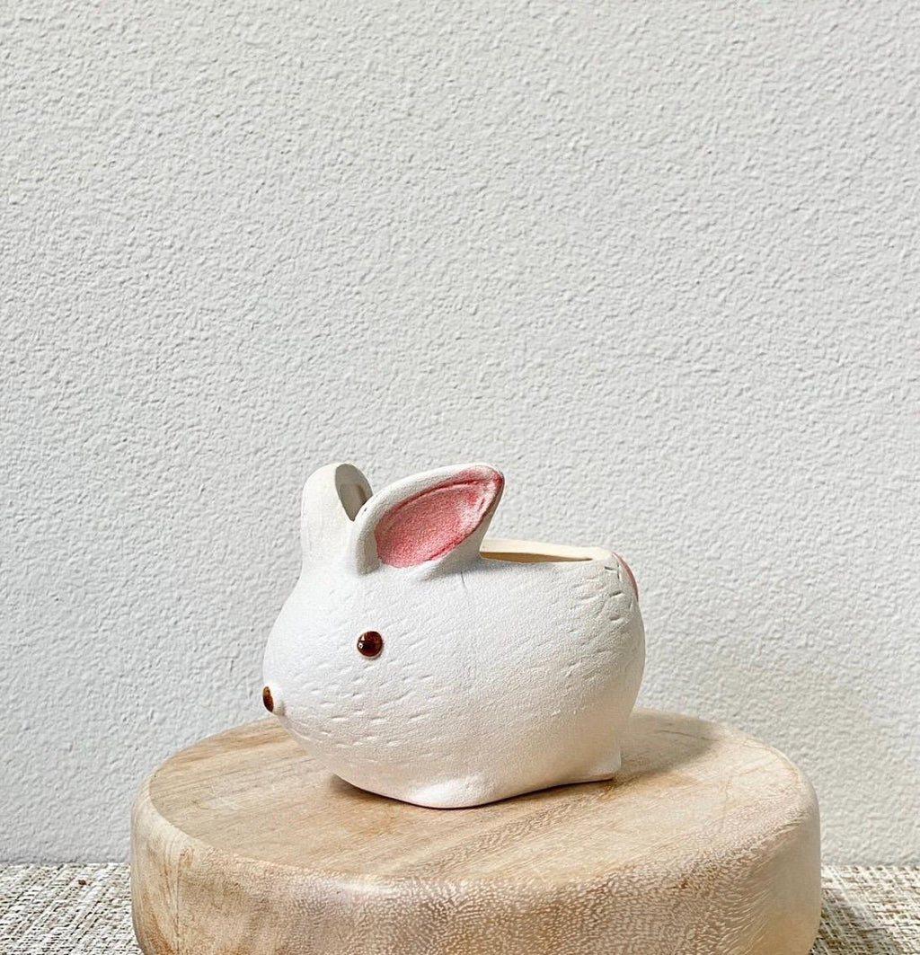 Cute Animal shape planters 4 pack