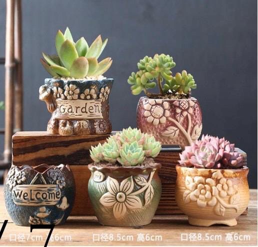 Small Floral planters