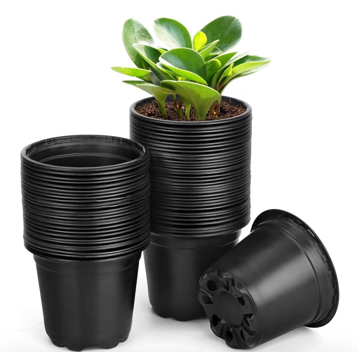 Planting Pots (100)