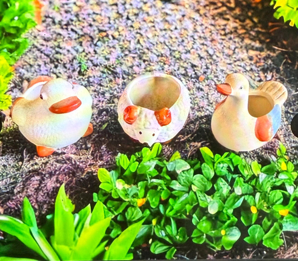 Animal shape planters