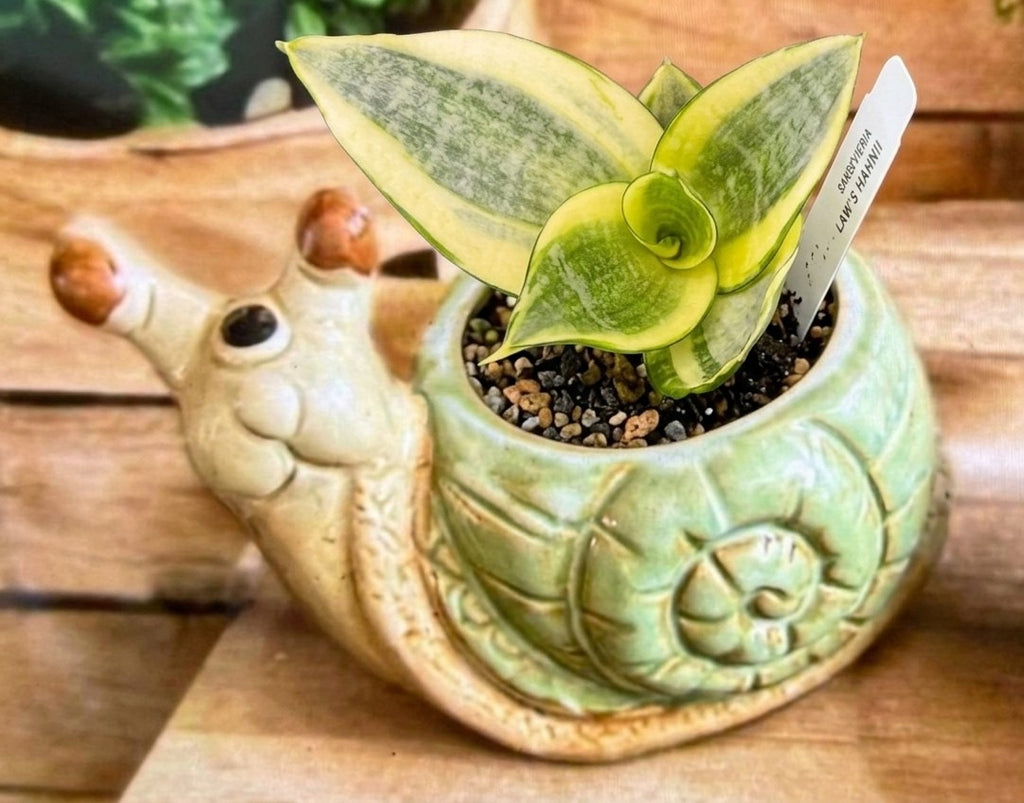 Whimsical Critter Collection with plants (Buy2 Get 2 Free!!)